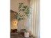 PEACOCK TREE ΔΕΝΤΡΟ ΤΕΧΝΗΤΟ ΣΕ ΓΛΑΣΤΡΑ 150cm PE ΠΡΑΣΙΝΟ ΜΕΤΑΞΩΤΟ ΥΦΑΣΜΑ PEACOCK TREE ΔΕΝΤΡΟ ΤΕΧΝΗΤΟ ΣΕ ΓΛΑΣΤΡΑ 150cm PE ΠΡΑΣΙΝΟ ΜΕΤΑΞΩΤΟ ΥΦΑΣΜΑ
