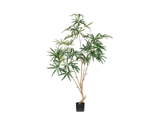 PEACOCK TREE ΔΕΝΤΡΟ ΤΕΧΝΗΤΟ ΣΕ ΓΛΑΣΤΡΑ 180cm PE ΠΡΑΣΙΝΟ ΜΕΤΑΞΩΤΟ ΥΦΑΣΜΑ PEACOCK TREE ΔΕΝΤΡΟ ΤΕΧΝΗΤΟ ΣΕ ΓΛΑΣΤΡΑ 180cm PE ΠΡΑΣΙΝΟ ΜΕΤΑΞΩΤΟ ΥΦΑΣΜΑ