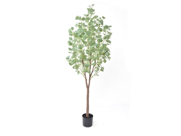SILVER DOLLAR EUCALYPTUS ΔΕΝΤΡΟ ΤΕΧΝΗΤΟ ΣΕ ΓΛΑΣΤΡΑ 180cm PE ΠΡΑΣΙΝΟ ΜΕΤΑΞΩΤΟ ΥΦΑΣΜΑ SILVER DOLLAR EUCALYPTUS ΔΕΝΤΡΟ ΤΕΧΝΗΤΟ ΣΕ ΓΛΑΣΤΡΑ 180cm PE ΠΡΑΣΙΝΟ ΜΕΤΑΞΩΤΟ ΥΦΑΣΜΑ