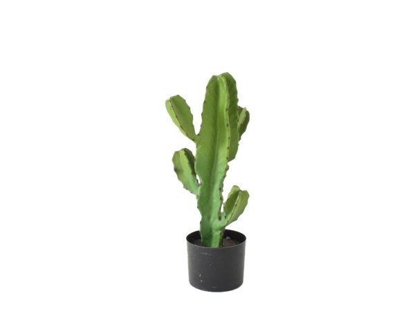 CANDELABRA CACTUS ΦΥΤΟ ΤΕΧΝΗΤΟ ΣΕ ΓΛΑΣΤΡΑ 55cm PU ΠΡΑΣΙΝΟ CANDELABRA CACTUS ΦΥΤΟ ΤΕΧΝΗΤΟ ΣΕ ΓΛΑΣΤΡΑ 55cm PU ΠΡΑΣΙΝΟ