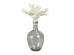 CORALLI ΜΠΟΥΚΑΛΑ ΜΕ ΚΑΠΑΚΙ 24x15x41cm ΓΥΑΛΙ ΔΙΑΦΑΝΟ ΜΠΕΖ POLYRESIN CORALLI ΜΠΟΥΚΑΛΑ ΜΕ ΚΑΠΑΚΙ 24x15x41cm ΓΥΑΛΙ ΔΙΑΦΑΝΟ ΜΠΕΖ POLYRESIN