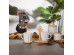 CACTUS ΚΟΥΠΑ ESPRESSO 20x12x17cm ΠΟΡΣΕΛΑΝΗ ΛΕΥΚΟ ΦΥΣΙΚΟ BAMBOO CACTUS ΚΟΥΠΑ ESPRESSO 20x12x17cm ΠΟΡΣΕΛΑΝΗ ΛΕΥΚΟ ΦΥΣΙΚΟ BAMBOO