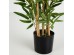 BAMBOO ΦΥΤΟ ΤΕΧΝΗΤΟ ΣΕ ΓΛΑΣΤΡΑ 70cm POLYESTER ΠΡΑΣΙΝΟ PVC