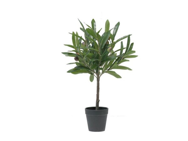 OLIA ΦΥΤΟ ΤΕΧΝΗΤΟ ΣΕ ΓΛΑΣΤΡΑ 45cm PVC ΠΡΑΣΙΝΟ PU OLIA ΦΥΤΟ ΤΕΧΝΗΤΟ ΣΕ ΓΛΑΣΤΡΑ 45cm PVC ΠΡΑΣΙΝΟ PU