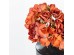 PEONY ΛΟΥΛΟΥΔΙ ΤΕΧΝΗΤΟ ΜΠΟΥΚΕΤΟ 30cm ΥΦΑΣΜΑ ΣΟΜΟΝ ΜΠΟΡΝΤΩ ΠΡΑΣΙΝΟ PVC PEONY ΛΟΥΛΟΥΔΙ ΤΕΧΝΗΤΟ ΜΠΟΥΚΕΤΟ 30cm ΥΦΑΣΜΑ ΣΟΜΟΝ ΜΠΟΡΝΤΩ ΠΡΑΣΙΝΟ PVC