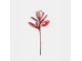 MAGNOLIA ΛΟΥΛΟΥΔΙ ΤΕΧΝΗΤΟ 58cm ΥΦΑΣΜΑ ΜΠΟΡΝΤΩ ΧΡΥΣΟ PVC MAGNOLIA ΛΟΥΛΟΥΔΙ ΤΕΧΝΗΤΟ 58cm ΥΦΑΣΜΑ ΜΠΟΡΝΤΩ ΧΡΥΣΟ PVC