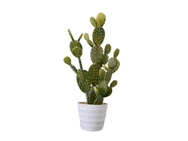 REBUTIA ΦΥΤΟ ΤΕΧΝΗΤΟ ΣΕ ΓΛΑΣΤΡΑ 67cm PVC ΠΡΑΣΙΝΟ ΛΕΥΚΟ ΤΣΙΜΕΝΤΟ REBUTIA ΦΥΤΟ ΤΕΧΝΗΤΟ ΣΕ ΓΛΑΣΤΡΑ 67cm PVC ΠΡΑΣΙΝΟ ΛΕΥΚΟ ΤΣΙΜΕΝΤΟ