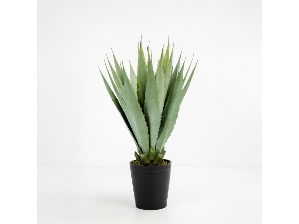 AGAVE ΦΥΤΟ ΤΕΧΝΗΤΟ ΣΕ ΓΛΑΣΤΡΑ 58cm PVC ΠΡΑΣΙΝΟ ΜΑΥΡΟ ΤΣΙΜΕΝΤΟ AGAVE ΦΥΤΟ ΤΕΧΝΗΤΟ ΣΕ ΓΛΑΣΤΡΑ 58cm PVC ΠΡΑΣΙΝΟ ΜΑΥΡΟ ΤΣΙΜΕΝΤΟ