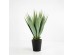 AGAVE ΦΥΤΟ ΤΕΧΝΗΤΟ ΣΕ ΓΛΑΣΤΡΑ 58cm PVC ΠΡΑΣΙΝΟ ΜΑΥΡΟ ΤΣΙΜΕΝΤΟ AGAVE ΦΥΤΟ ΤΕΧΝΗΤΟ ΣΕ ΓΛΑΣΤΡΑ 58cm PVC ΠΡΑΣΙΝΟ ΜΑΥΡΟ ΤΣΙΜΕΝΤΟ