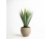 AGAVE ΦΥΤΟ ΤΕΧΝΗΤΟ ΣΕ ΓΛΑΣΤΡΑ 58cm PVC ΠΡΑΣΙΝΟ ΜΑΥΡΟ ΤΣΙΜΕΝΤΟ AGAVE ΦΥΤΟ ΤΕΧΝΗΤΟ ΣΕ ΓΛΑΣΤΡΑ 58cm PVC ΠΡΑΣΙΝΟ ΜΑΥΡΟ ΤΣΙΜΕΝΤΟ