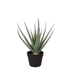 ALOE ΦΥΤΟ ΤΕΧΝΗΤΟ ΣΕ ΓΛΑΣΤΡΑ 52cm PVC ΠΡΑΣΙΝΟ ΜΑΥΡΟ ΤΣΙΜΕΝΤΟ