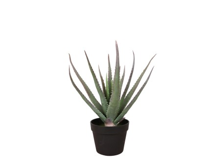 ALOE ΦΥΤΟ ΤΕΧΝΗΤΟ ΣΕ ΓΛΑΣΤΡΑ 52cm PVC ΠΡΑΣΙΝΟ ΜΑΥΡΟ ΤΣΙΜΕΝΤΟ
