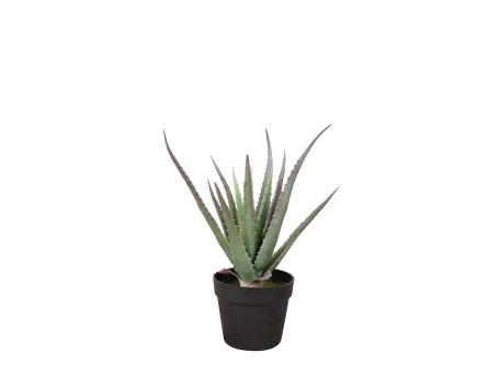 ALOE ΦΥΤΟ ΤΕΧΝΗΤΟ ΣΕ ΓΛΑΣΤΡΑ 43cm PVC ΠΡΑΣΙΝΟ ΜΑΥΡΟ ΤΣΙΜΕΝΤΟ