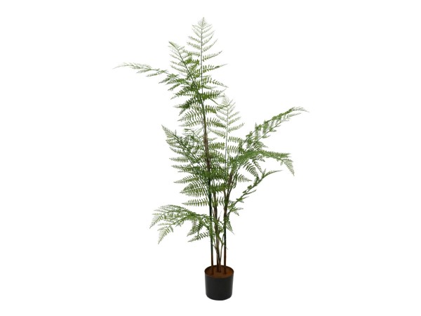 HERICIUM FERN ΔΕΝΤΡΟ ΤΕΧΝΗΤΟ ΣΕ ΓΛΑΣΤΡΑ 130cm PVC ΠΡΑΣΙΝΟ ΜΑΥΡΟ ΤΣΙΜΕΝΤΟ HERICIUM FERN ΔΕΝΤΡΟ ΤΕΧΝΗΤΟ ΣΕ ΓΛΑΣΤΡΑ 130cm PVC ΠΡΑΣΙΝΟ ΜΑΥΡΟ ΤΣΙΜΕΝΤΟ