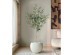 OLIVE TREE ΔΕΝΤΡΟ ΤΕΧΝΗΤΟ ΣΕ ΓΛΑΣΤΡΑ 155cm PVC ΠΡΑΣΙΝΟ ΜΑΥΡΟ ΤΣΙΜΕΝΤΟ
