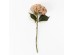HYDRANGEA ΛΟΥΛΟΥΔΙ ΤΕΧΝΗΤΟ 52cm POLYESTER ΚΙΤΡΙΝΟ ΚΑΦΕ ΠΡΑΣΙΝΟ HYDRANGEA ΛΟΥΛΟΥΔΙ ΤΕΧΝΗΤΟ 52cm POLYESTER ΚΙΤΡΙΝΟ ΚΑΦΕ ΠΡΑΣΙΝΟ