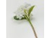 HYDRANGEA ΛΟΥΛΟΥΔΙ ΤΕΧΝΗΤΟ 67cm POLYESTER ΛΕΥΚΟ ΠΡΑΣΙΝΟ