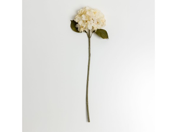 HYDRANGEA ΛΟΥΛΟΥΔΙ ΤΕΧΝΗΤΟ 67cm POLYESTER ΜΠΕΖ ΠΡΑΣΙΝΟ HYDRANGEA ΛΟΥΛΟΥΔΙ ΤΕΧΝΗΤΟ 67cm POLYESTER ΜΠΕΖ ΠΡΑΣΙΝΟ