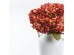 HYDRANGEA ΛΟΥΛΟΥΔΙ ΤΕΧΝΗΤΟ 67cm POLYESTER ΜΠΟΡΝΤΩ ΚΙΤΡΙΝΟ ΠΡΑΣΙΝΟ