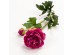 RANUNCULUS ΛΟΥΛΟΥΔΙ ΤΕΧΝΗΤΟ 48cm POLYESTER ΦΟΥΞΙΑ ΠΡΑΣΙΝΟ