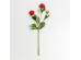 RANUNCULUS ΛΟΥΛΟΥΔΙ ΤΕΧΝΗΤΟ 42cm POLYESTER ΚΟΚΚΙΝΟ ΠΡΑΣΙΝΟ ΠΡΑΣΙΝΟ RANUNCULUS ΛΟΥΛΟΥΔΙ ΤΕΧΝΗΤΟ 42cm POLYESTER ΚΟΚΚΙΝΟ ΠΡΑΣΙΝΟ ΠΡΑΣΙΝΟ