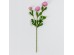 RANUNCULUS ΛΟΥΛΟΥΔΙ ΤΕΧΝΗΤΟ 42cm POLYESTER ΡΟΖ ΠΡΑΣΙΝΟ