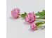 RANUNCULUS ΛΟΥΛΟΥΔΙ ΤΕΧΝΗΤΟ 42cm POLYESTER ΡΟΖ ΠΡΑΣΙΝΟ