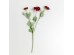 RANUNCULUS ΛΟΥΛΟΥΔΙ ΤΕΧΝΗΤΟ 51cm POLYESTER ΜΠΟΡΝΤΩ ΠΡΑΣΙΝΟ