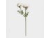 RANUNCULUS ΛΟΥΛΟΥΔΙ ΤΕΧΝΗΤΟ 58cm POLYESTER ΡΟΖ ΛΕΥΚΟ ΠΡΑΣΙΝΟ RANUNCULUS ΛΟΥΛΟΥΔΙ ΤΕΧΝΗΤΟ 58cm POLYESTER ΡΟΖ ΛΕΥΚΟ ΠΡΑΣΙΝΟ