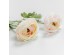 RANUNCULUS ΛΟΥΛΟΥΔΙ ΤΕΧΝΗΤΟ 58cm POLYESTER ΡΟΖ ΛΕΥΚΟ ΠΡΑΣΙΝΟ RANUNCULUS ΛΟΥΛΟΥΔΙ ΤΕΧΝΗΤΟ 58cm POLYESTER ΡΟΖ ΛΕΥΚΟ ΠΡΑΣΙΝΟ