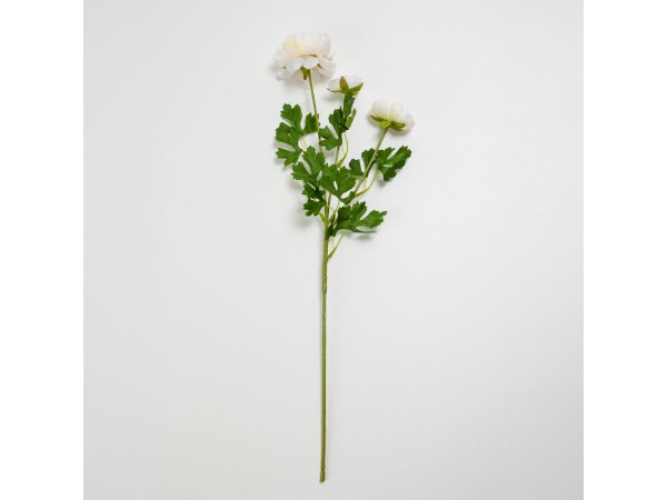 RANUNCULUS ΛΟΥΛΟΥΔΙ ΤΕΧΝΗΤΟ 61cm POLYESTER ΛΕΥΚΟ ΠΡΑΣΙΝΟ RANUNCULUS ΛΟΥΛΟΥΔΙ ΤΕΧΝΗΤΟ 61cm POLYESTER ΛΕΥΚΟ ΠΡΑΣΙΝΟ