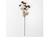 RANUNCULUS ΛΟΥΛΟΥΔΙ ΤΕΧΝΗΤΟ 81cm POLYESTER ΚΑΦΕ ΜΠΕΖ RANUNCULUS ΛΟΥΛΟΥΔΙ ΤΕΧΝΗΤΟ 81cm POLYESTER ΚΑΦΕ ΜΠΕΖ