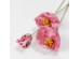 POPPY ΛΟΥΛΟΥΔΙ ΤΕΧΝΗΤΟ 61cm POLYESTER ΡΟΖ ΣΚΟΥΡΟ POPPY ΛΟΥΛΟΥΔΙ ΤΕΧΝΗΤΟ 61cm POLYESTER ΡΟΖ ΣΚΟΥΡΟ