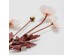 POPPY ΛΟΥΛΟΥΔΙ ΤΕΧΝΗΤΟ 60cm POLYESTER ΜΠΕΖ ΠΡΑΣΙΝΟ POPPY ΛΟΥΛΟΥΔΙ ΤΕΧΝΗΤΟ 60cm POLYESTER ΜΠΕΖ ΠΡΑΣΙΝΟ