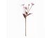 POPPY ΛΟΥΛΟΥΔΙ ΤΕΧΝΗΤΟ 60cm POLYESTER ΛΙΛΑ ΜΩΒ ΠΡΑΣΙΝΟ POPPY ΛΟΥΛΟΥΔΙ ΤΕΧΝΗΤΟ 60cm POLYESTER ΛΙΛΑ ΜΩΒ ΠΡΑΣΙΝΟ