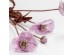 POPPY ΛΟΥΛΟΥΔΙ ΤΕΧΝΗΤΟ 60cm POLYESTER ΛΙΛΑ ΜΩΒ ΠΡΑΣΙΝΟ POPPY ΛΟΥΛΟΥΔΙ ΤΕΧΝΗΤΟ 60cm POLYESTER ΛΙΛΑ ΜΩΒ ΠΡΑΣΙΝΟ