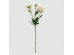 ZINNIA ΛΟΥΛΟΥΔΙ ΤΕΧΝΗΤΟ 62cm POLYESTER ΜΠΕΖ ΠΡΑΣΙΝΟ ZINNIA ΛΟΥΛΟΥΔΙ ΤΕΧΝΗΤΟ 62cm POLYESTER ΜΠΕΖ ΠΡΑΣΙΝΟ