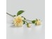 ZINNIA ΛΟΥΛΟΥΔΙ ΤΕΧΝΗΤΟ 62cm POLYESTER ΜΠΕΖ ΠΡΑΣΙΝΟ ZINNIA ΛΟΥΛΟΥΔΙ ΤΕΧΝΗΤΟ 62cm POLYESTER ΜΠΕΖ ΠΡΑΣΙΝΟ