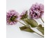 ZINNIA ΛΟΥΛΟΥΔΙ ΤΕΧΝΗΤΟ 52cm POLYESTER ΛΙΛΑ ΠΡΑΣΙΝΟ