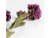 ZINNIA ΛΟΥΛΟΥΔΙ ΤΕΧΝΗΤΟ 52cm POLYESTER ΜΩΒ ΠΡΑΣΙΝΟ