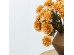 ZINNIA ΛΟΥΛΟΥΔΙ ΤΕΧΝΗΤΟ 52cm POLYESTER ΠΟΡΤΟΚΑΛΙ ΠΡΑΣΙΝΟ ZINNIA ΛΟΥΛΟΥΔΙ ΤΕΧΝΗΤΟ 52cm POLYESTER ΠΟΡΤΟΚΑΛΙ ΠΡΑΣΙΝΟ