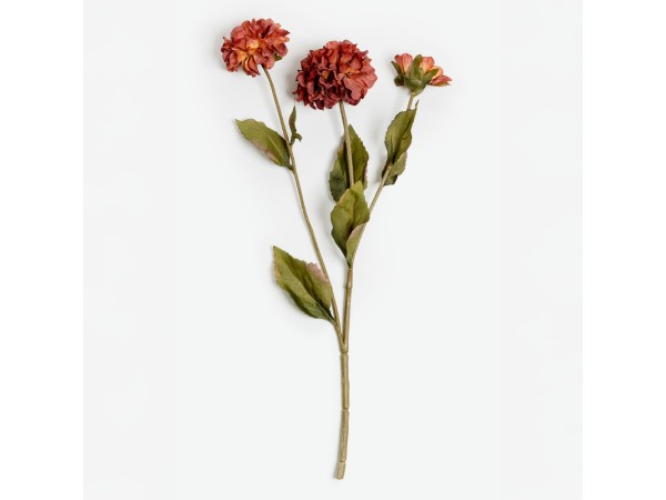 ZINNIA ΛΟΥΛΟΥΔΙ ΤΕΧΝΗΤΟ 52cm POLYESTER ΜΠΟΡΝΤΩ ΠΟΡΤΟΚΑΛΙ ΠΡΑΣΙΝΟ ZINNIA ΛΟΥΛΟΥΔΙ ΤΕΧΝΗΤΟ 52cm POLYESTER ΜΠΟΡΝΤΩ ΠΟΡΤΟΚΑΛΙ ΠΡΑΣΙΝΟ