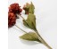ZINNIA ΛΟΥΛΟΥΔΙ ΤΕΧΝΗΤΟ 52cm POLYESTER ΜΠΟΡΝΤΩ ΠΟΡΤΟΚΑΛΙ ΠΡΑΣΙΝΟ ZINNIA ΛΟΥΛΟΥΔΙ ΤΕΧΝΗΤΟ 52cm POLYESTER ΜΠΟΡΝΤΩ ΠΟΡΤΟΚΑΛΙ ΠΡΑΣΙΝΟ