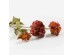 ZINNIA ΛΟΥΛΟΥΔΙ ΤΕΧΝΗΤΟ 52cm POLYESTER ΜΠΟΡΝΤΩ ΠΟΡΤΟΚΑΛΙ ΠΡΑΣΙΝΟ ZINNIA ΛΟΥΛΟΥΔΙ ΤΕΧΝΗΤΟ 52cm POLYESTER ΜΠΟΡΝΤΩ ΠΟΡΤΟΚΑΛΙ ΠΡΑΣΙΝΟ
