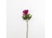KATE PEONY ΛΟΥΛΟΥΔΙ ΤΕΧΝΗΤΟ 67cm POLYESTER ΦΟΥΞΙΑ ΠΡΑΣΙΝΟ KATE PEONY ΛΟΥΛΟΥΔΙ ΤΕΧΝΗΤΟ 67cm POLYESTER ΦΟΥΞΙΑ ΠΡΑΣΙΝΟ
