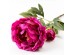 KATE PEONY ΛΟΥΛΟΥΔΙ ΤΕΧΝΗΤΟ 67cm POLYESTER ΦΟΥΞΙΑ ΠΡΑΣΙΝΟ KATE PEONY ΛΟΥΛΟΥΔΙ ΤΕΧΝΗΤΟ 67cm POLYESTER ΦΟΥΞΙΑ ΠΡΑΣΙΝΟ