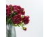 PEONY ΛΟΥΛΟΥΔΙ ΤΕΧΝΗΤΟ 67cm POLYESTER ΜΠΟΡΝΤΩ ΠΡΑΣΙΝΟ