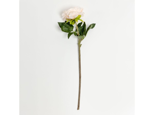 PEONY MIKADO ΛΟΥΛΟΥΔΙ ΤΕΧΝΗΤΟ 72cm POLYESTER ΣΟΜΟΝ ΠΡΑΣΙΝΟ PEONY MIKADO ΛΟΥΛΟΥΔΙ ΤΕΧΝΗΤΟ 72cm POLYESTER ΣΟΜΟΝ ΠΡΑΣΙΝΟ