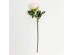 PEONY MIKADO ΛΟΥΛΟΥΔΙ ΤΕΧΝΗΤΟ 72cm POLYESTER ΣΟΜΟΝ ΠΡΑΣΙΝΟ PEONY MIKADO ΛΟΥΛΟΥΔΙ ΤΕΧΝΗΤΟ 72cm POLYESTER ΣΟΜΟΝ ΠΡΑΣΙΝΟ