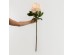 PEONY MIKADO ΛΟΥΛΟΥΔΙ ΤΕΧΝΗΤΟ 72cm POLYESTER ΣΟΜΟΝ ΠΡΑΣΙΝΟ PEONY MIKADO ΛΟΥΛΟΥΔΙ ΤΕΧΝΗΤΟ 72cm POLYESTER ΣΟΜΟΝ ΠΡΑΣΙΝΟ